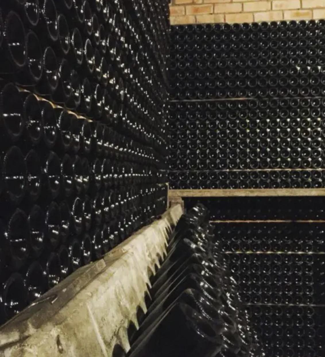 celler torres prunera